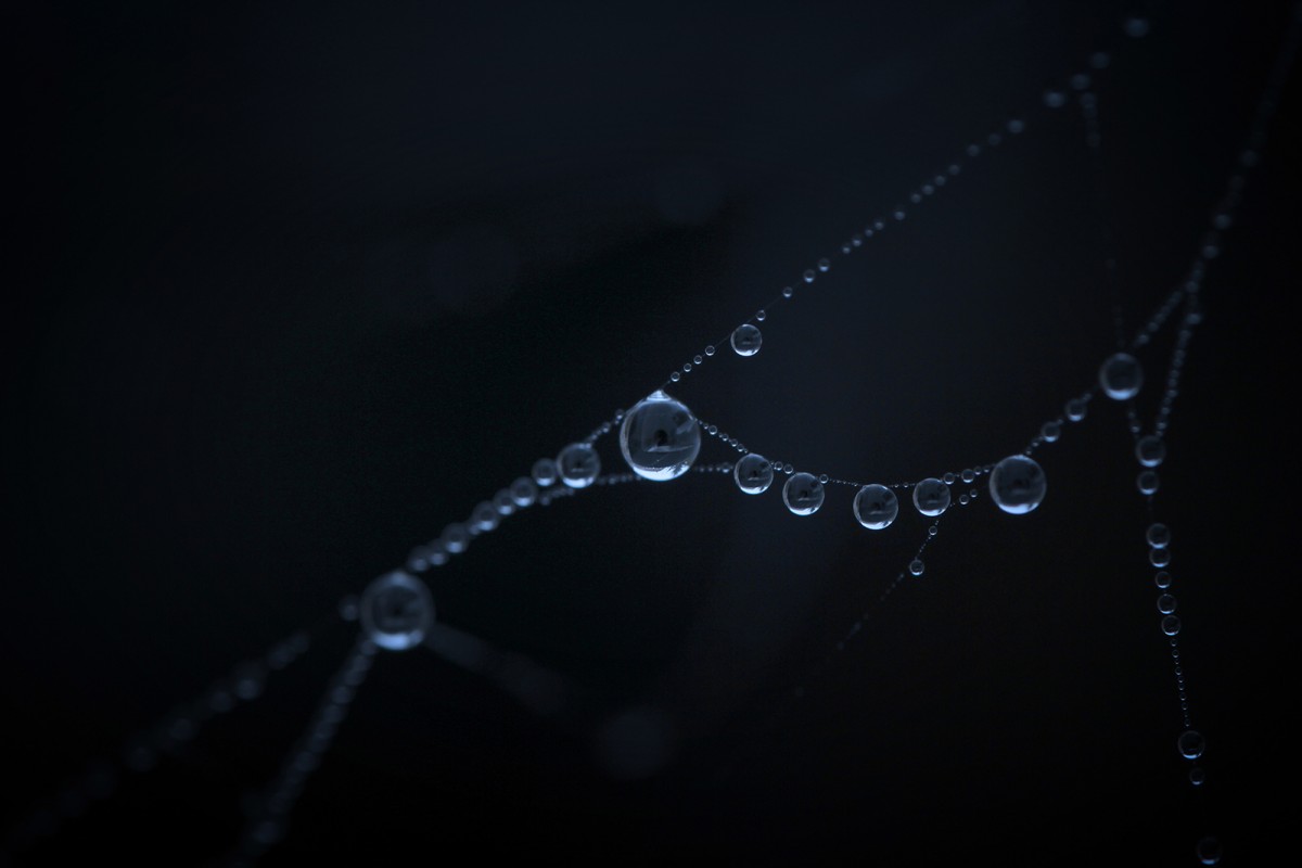 Collier de brume - Agnès Briand Photographe