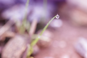 Suspendue - Agnès Briand Photographe