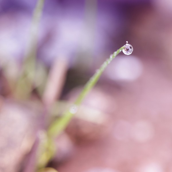 Suspendue - Agnès Briand Photographe